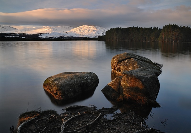 Loch Garten - Cairngorms