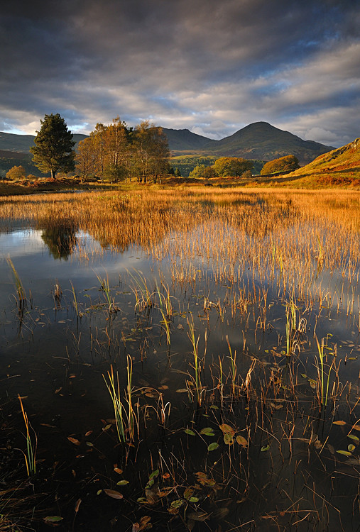 Kelly Hall Tarn II - Lakes, Tarns and Waters