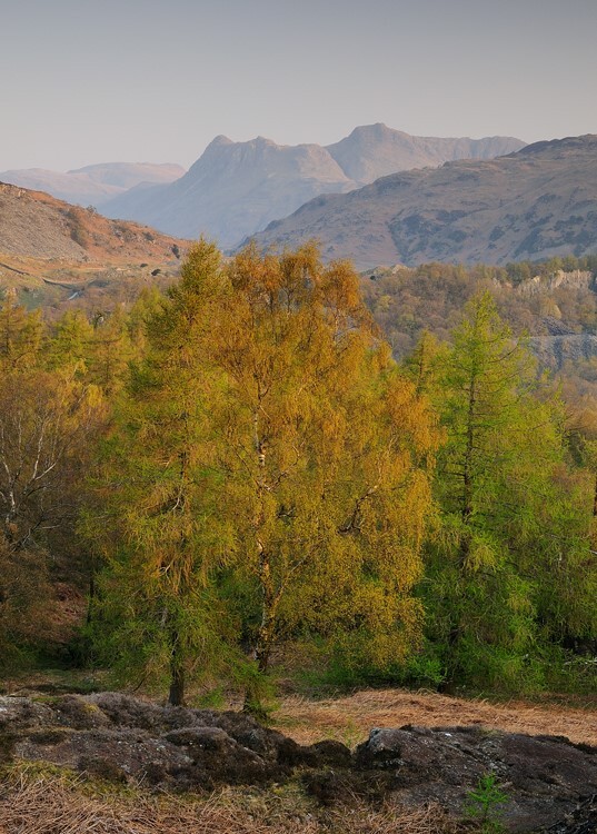 Pikes View - Mountains and Fells