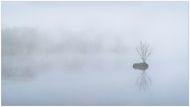 Dawn on the River Barrow, Co Carlow - Leinster's Wild Landscape