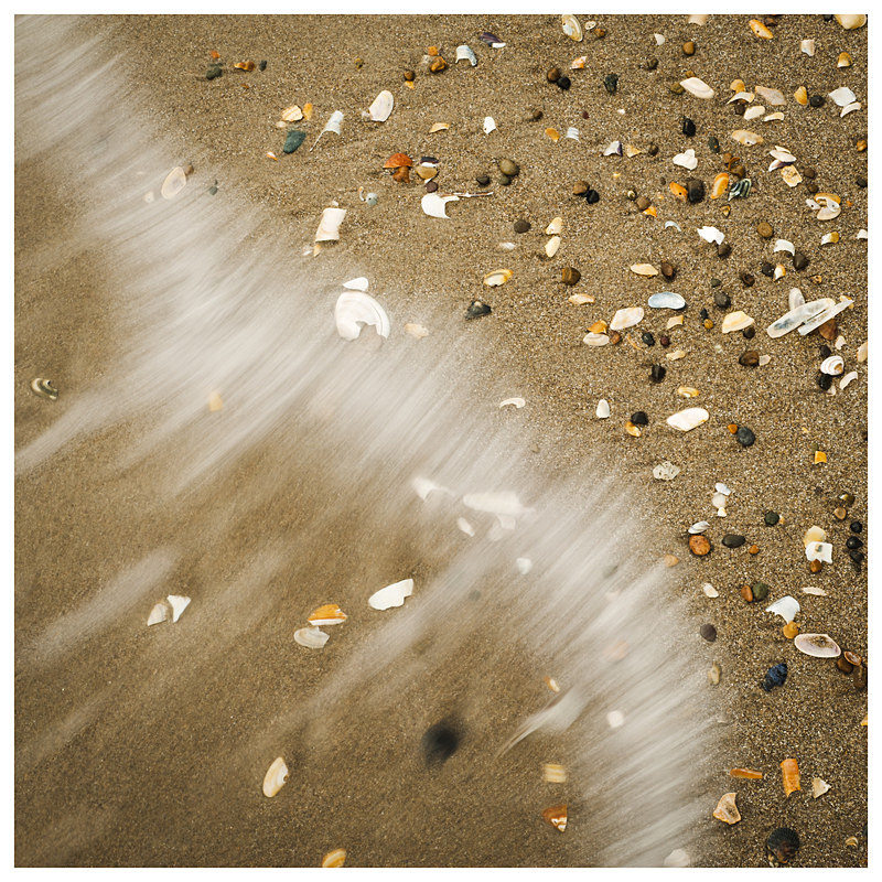 Jewels in the Tide, Curracloe/Ballinesker, Co Wexford - Elements of The Landscape