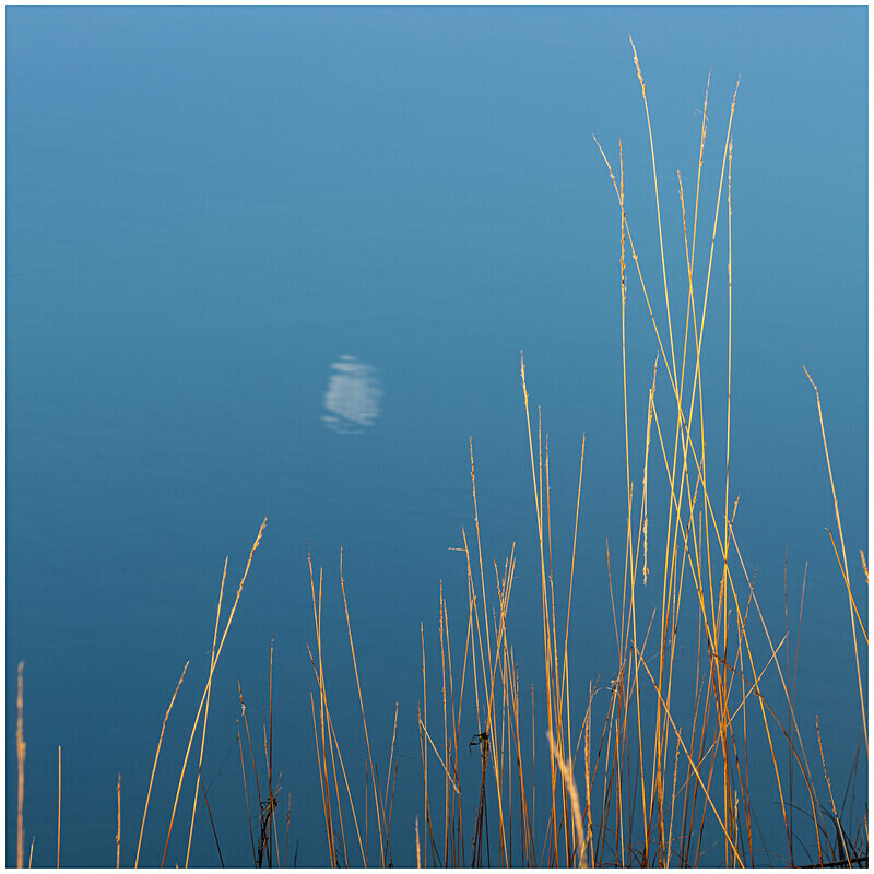  - Elements of The Landscape