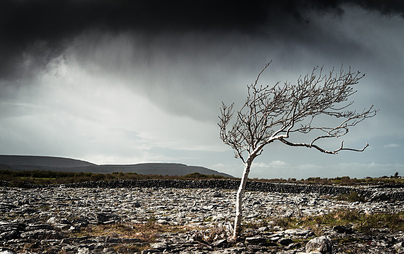 Spring Shower in The Burren, Co Clare - Munster's Wild Landscape