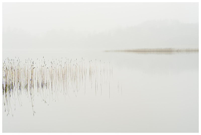 Lough Meelagh, Co Roscommon - Connaught's Wild Landscape
