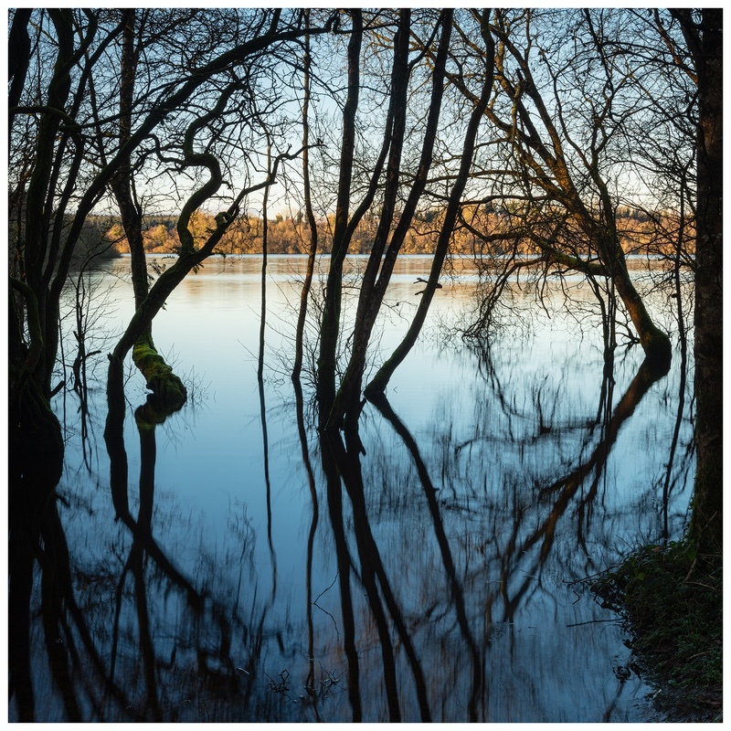 Lough Oughter, Co Cavan - 12 Recent Images