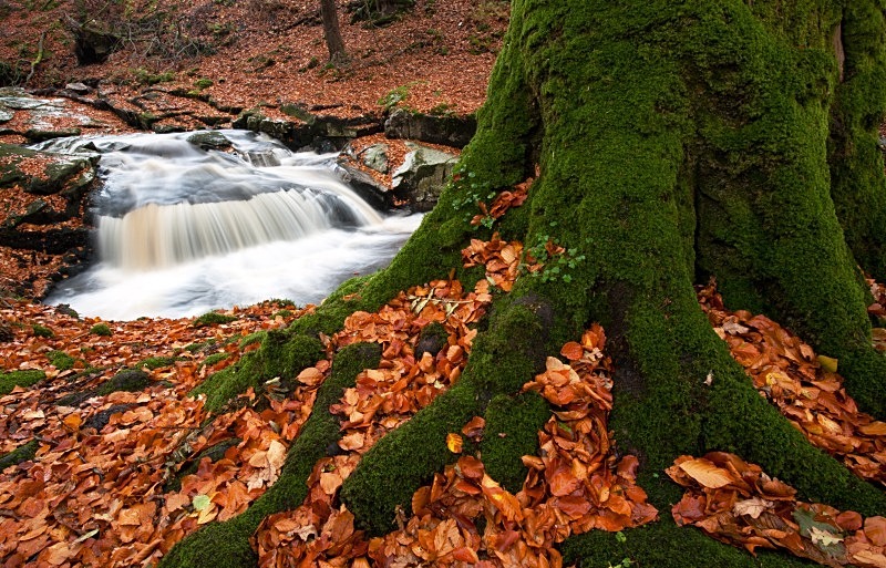 Autumn Falls, Cloughlea, Co Wicklow - Leinster's Wild Landscape