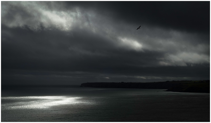 Mine Head, Co Waterford - Munster's Wild Landscape