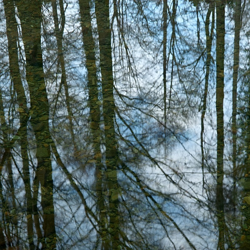Reflections on the Shimna River, Co Down - Elements of The Landscape