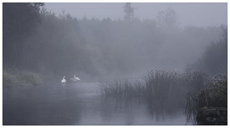 Daybreak on the River Suir, Co Tipperary - Munster's Wild Landscape