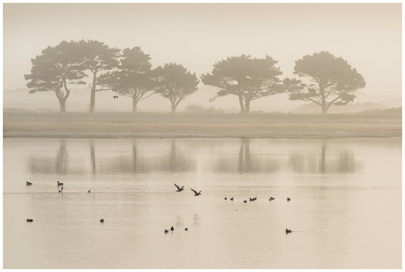 Dawn at Baldoyle Estuary, Co Dublin - Dublin's Wild Landscape