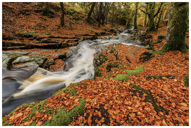 Cloughlea, Co Wicklow - Leinster's Wild Landscape