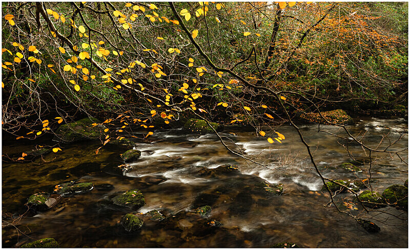 Autumn Colour, Glantrasna river, near Lauraugh, Co Kerry - 12 Recent Images