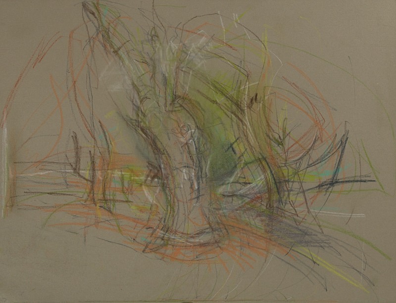  - Tree Studies