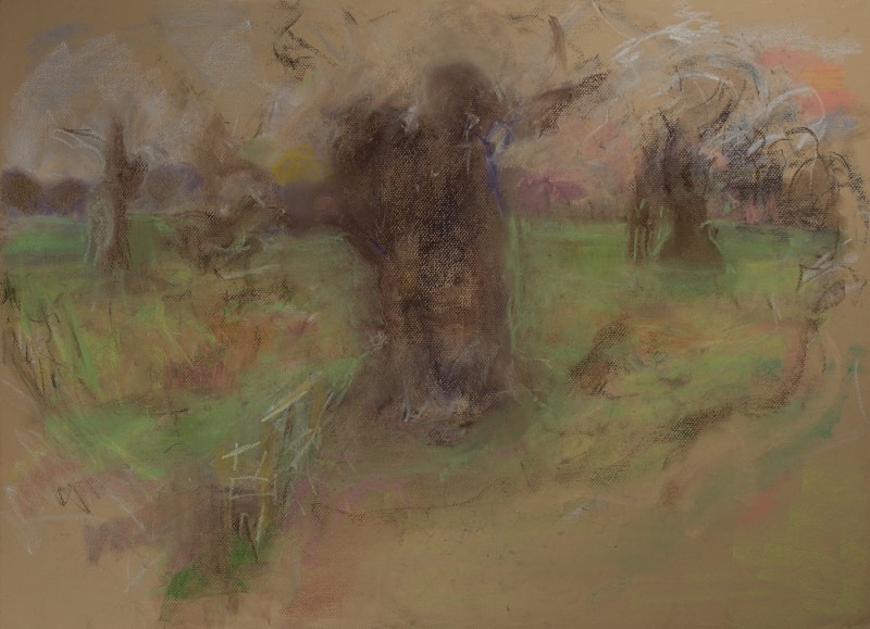  - Tree Studies