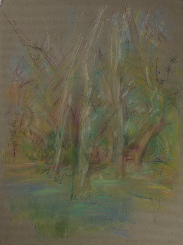 Bluebells in Battersea - Tree Studies