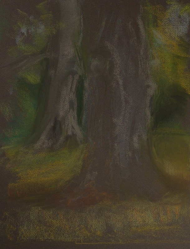  - Tree Studies