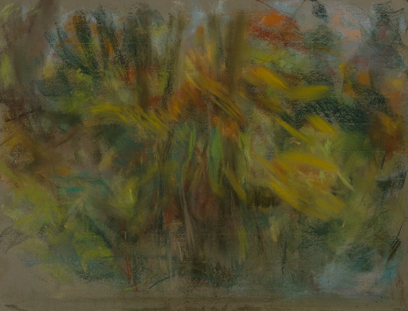  - Tree Studies