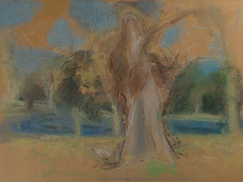  - Tree Studies