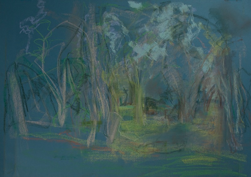  - Tree Studies