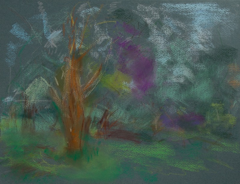  - Tree Studies