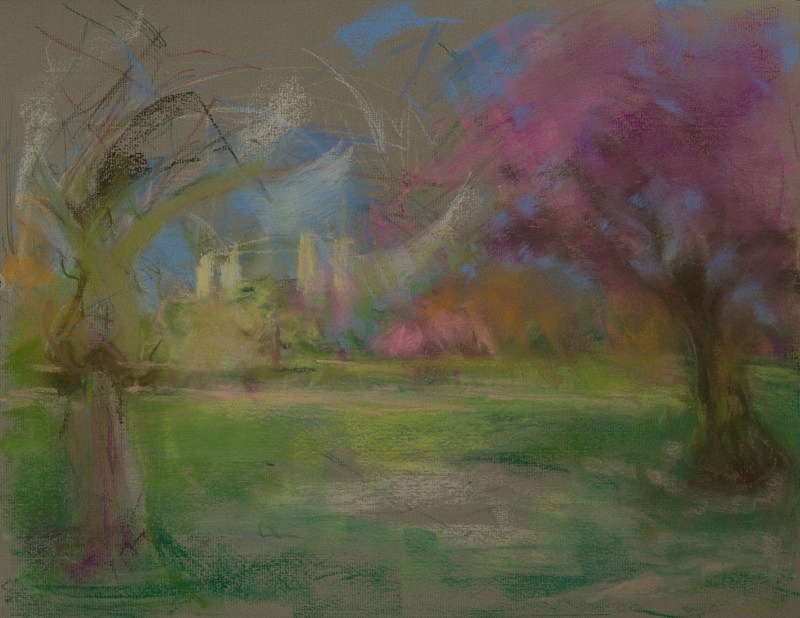 Cherry blossom Battersea Park with a view of the Power Station - Tree Studies