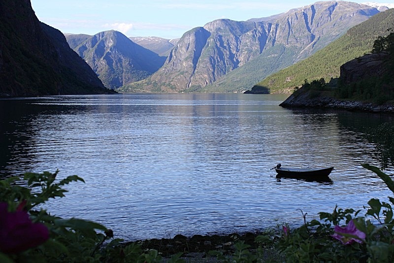  - Fjordlandscape & houses, Norway