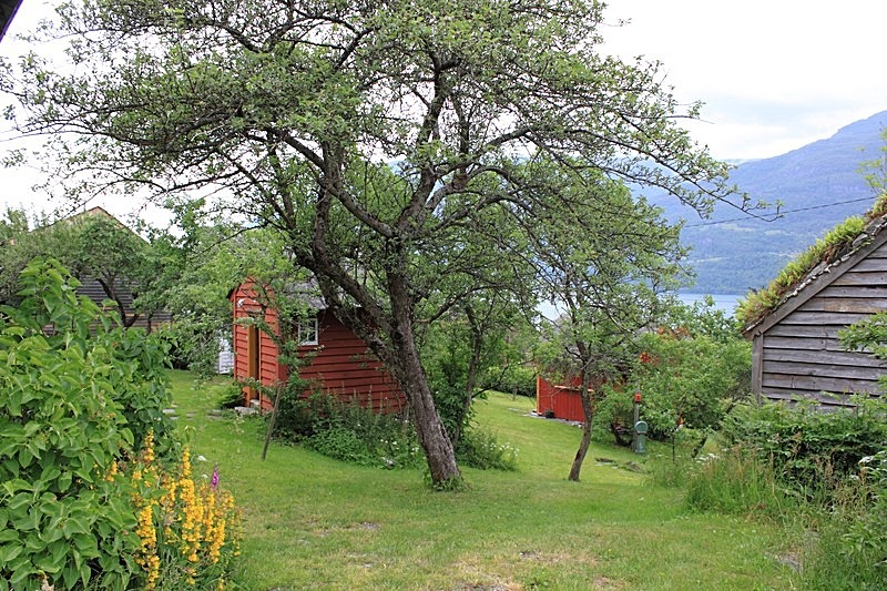  - Fjordlandscape & houses, Norway