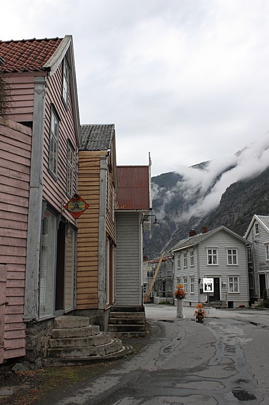  - Fjordlandscape & houses, Norway