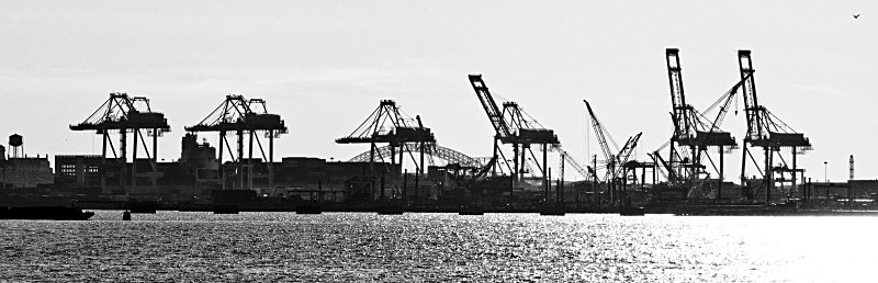 New Jersey Docks from Liberty - New York Landscapes