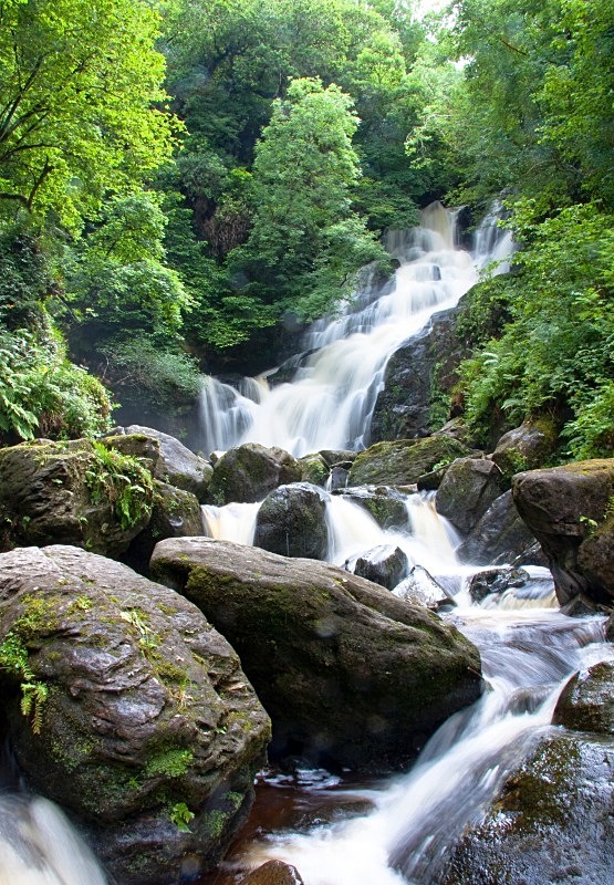 Waterfall in Ireland - Woodland