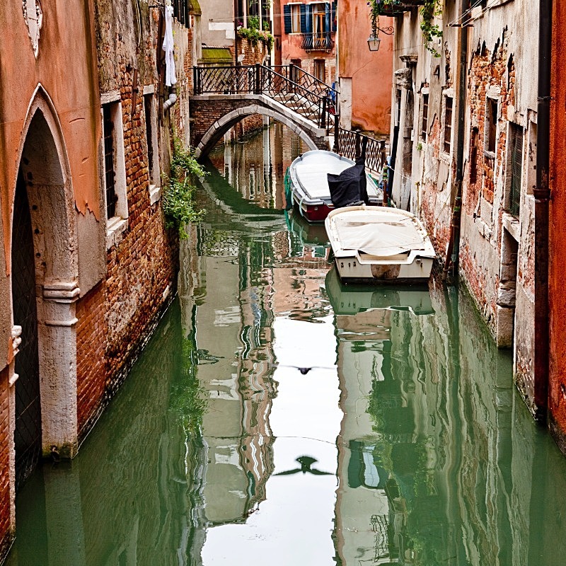 Bird Reflected Square - Venice