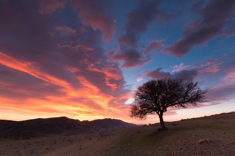 Red Tixli - Azerbaijan