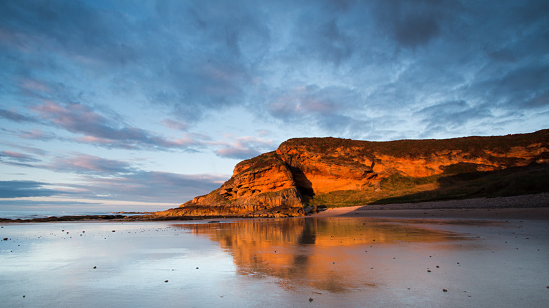 Cove Bay Gold