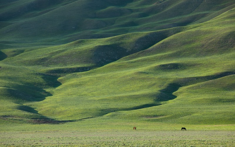 Wandering in Qobustan - Azerbaijan