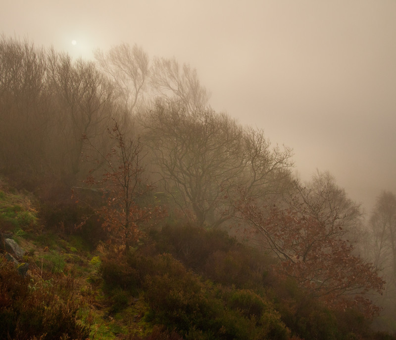 Heptonstall Gold - England