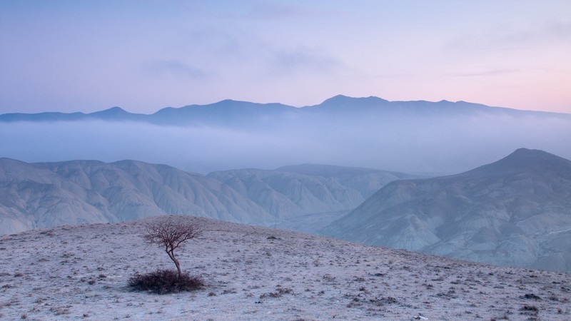 Delicate in Xizi - Azerbaijan