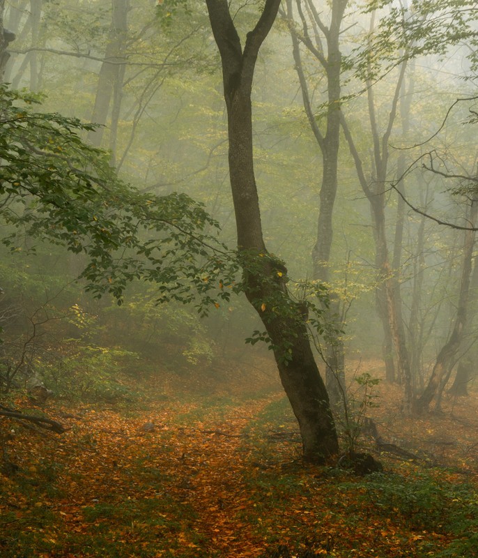 Autumn path - Azerbaijan