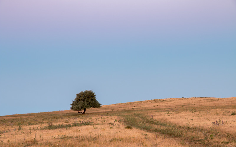 Wandering Around - Azerbaijan