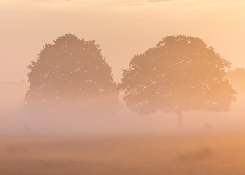 Pairs - England