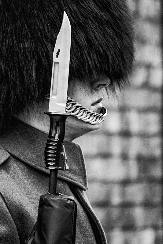 Guards Guards - People & Street Photography