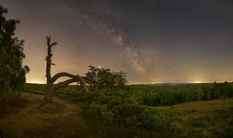 Puttenham Glow - England
