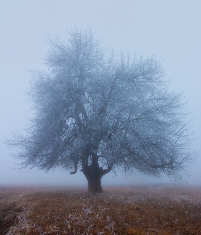 Winter Wonderland - Azerbaijan