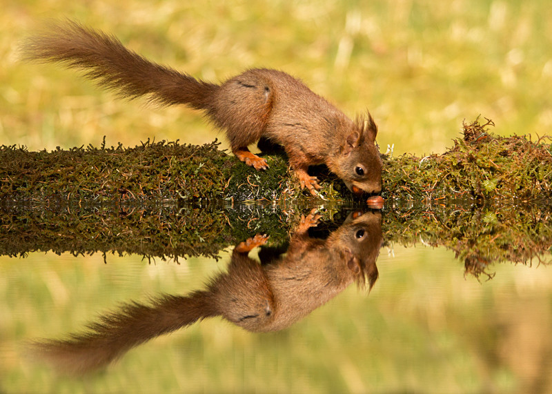 Face to Face