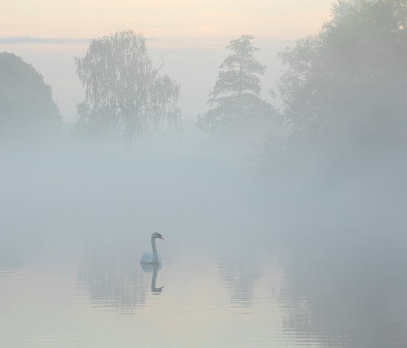 Serenity - England