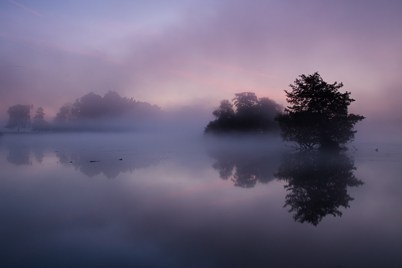 Purple Haze - England
