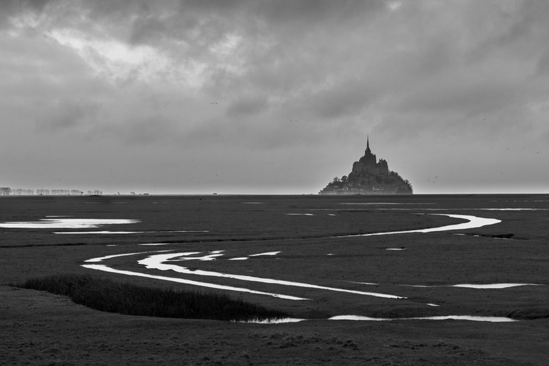 Through the Marsh - France