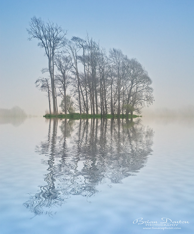 Blue Mist - Creative