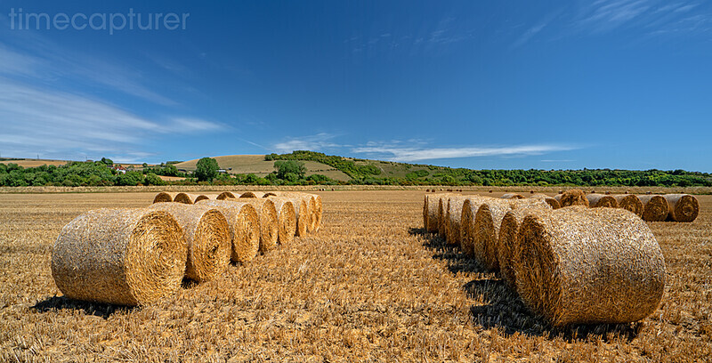 Rolos - Adur Valley & Shoreham-by-sea