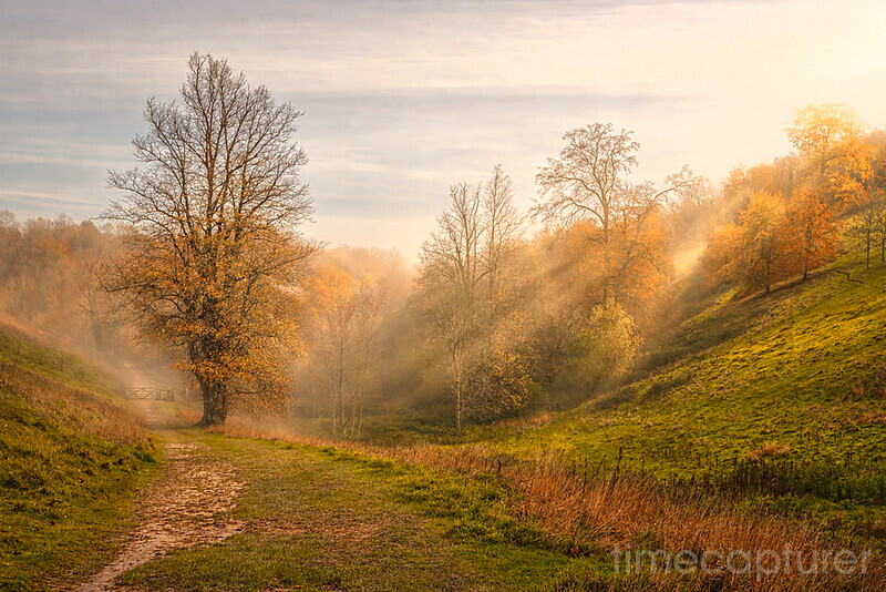 The Autumn Valley - New Images