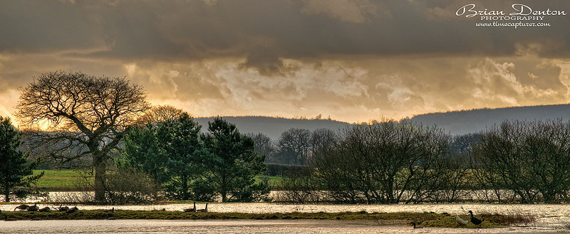 Silver Lake - Sussex & Brighton